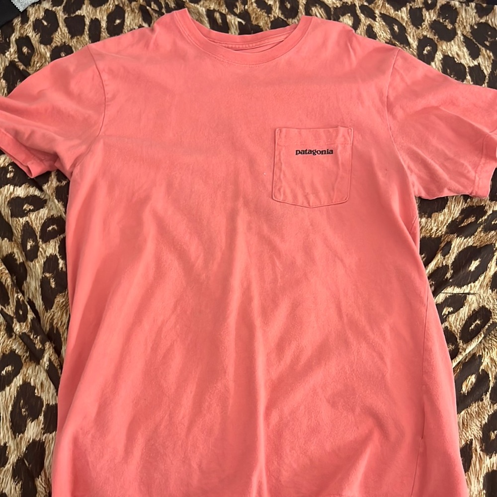Patagonia Shirt